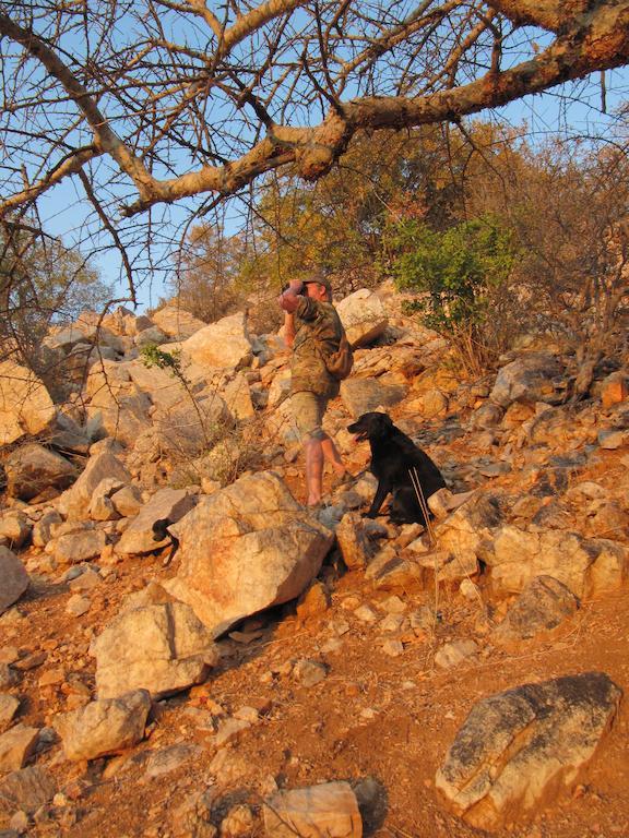 Adansonia Eco Lodge Musina Luaran gambar