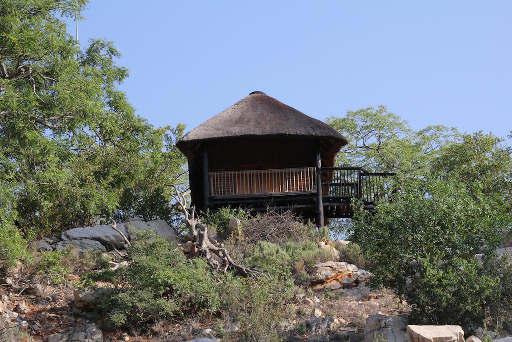 Adansonia Eco Lodge Musina Bilik gambar