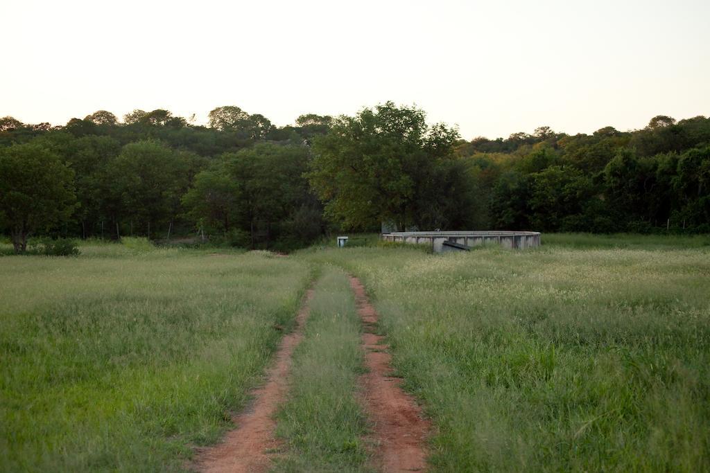 Adansonia Eco Lodge Musina Luaran gambar