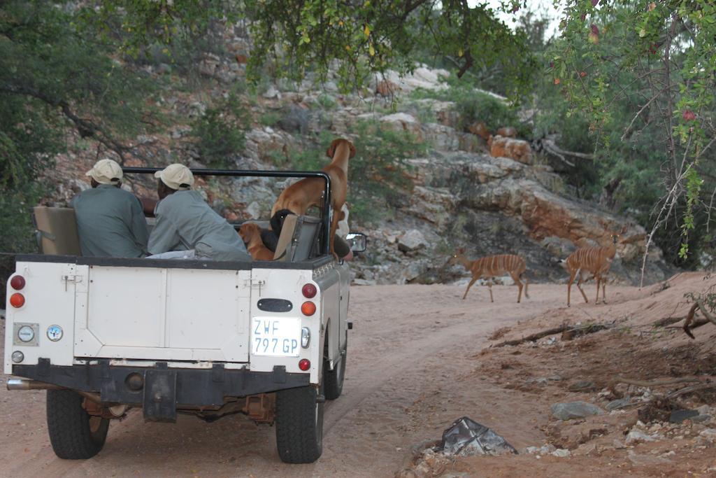 Adansonia Eco Lodge Musina Luaran gambar