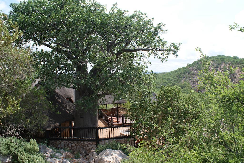 Adansonia Eco Lodge Musina Luaran gambar
