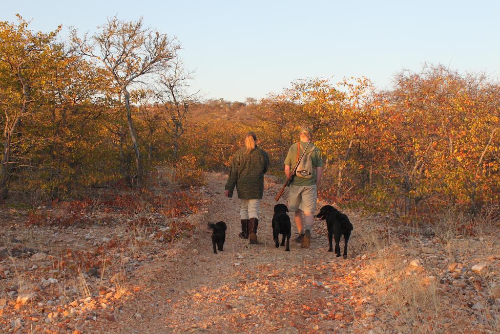 Adansonia Eco Lodge Musina Luaran gambar
