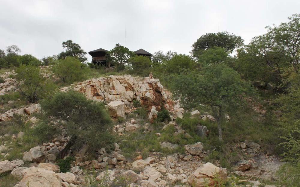 Adansonia Eco Lodge Musina Luaran gambar