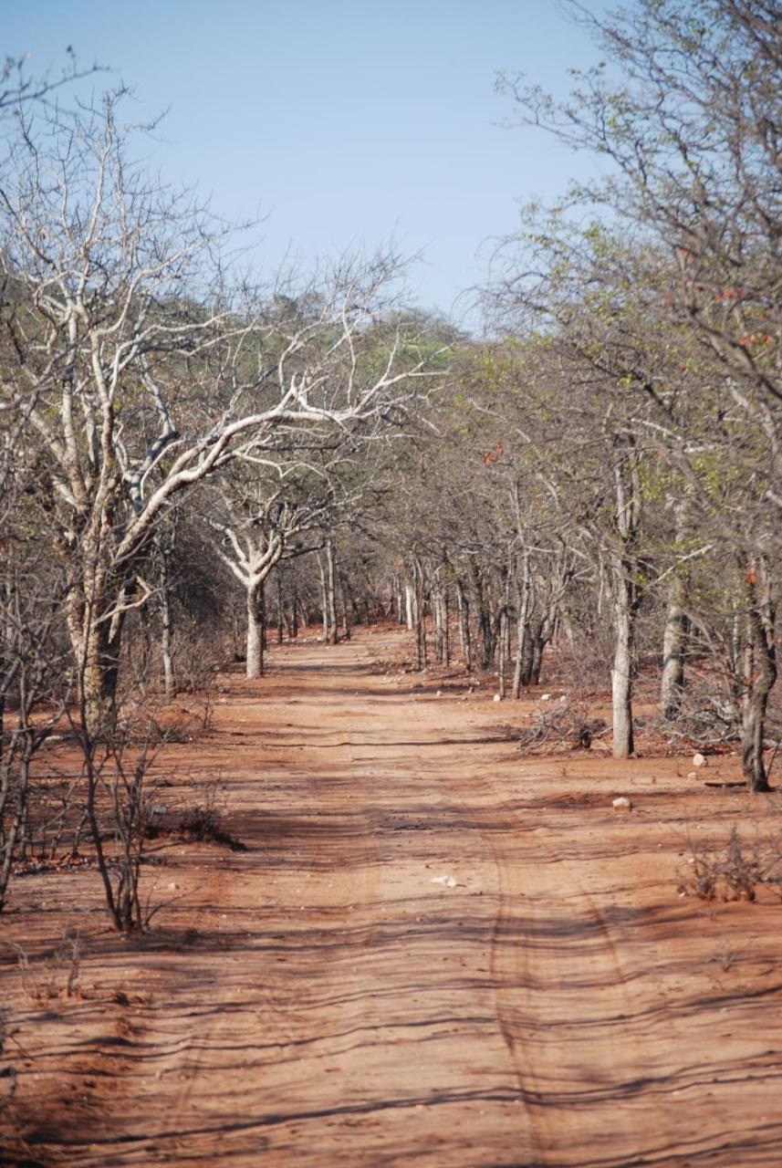 Adansonia Eco Lodge Musina Luaran gambar